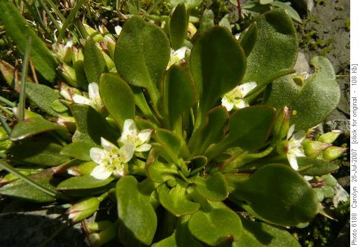 what is the name?