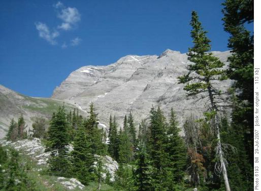 Tornado Mtn from Great Divide Trail