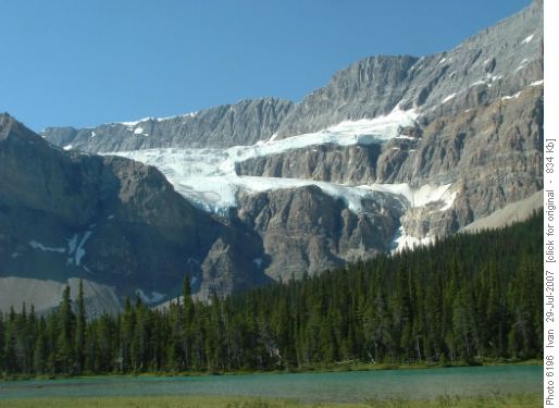 Crowfoot Glacier