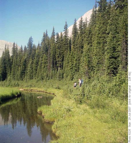 Hiking along Commonwealth Creek