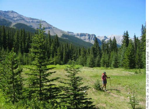 Meadow near Bluerock creek