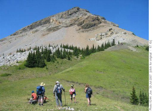 Bluerock meadows