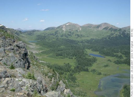 Healy meadows from the ramparts