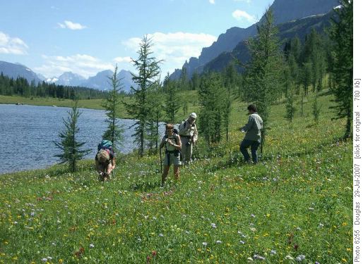 Flower Photographers