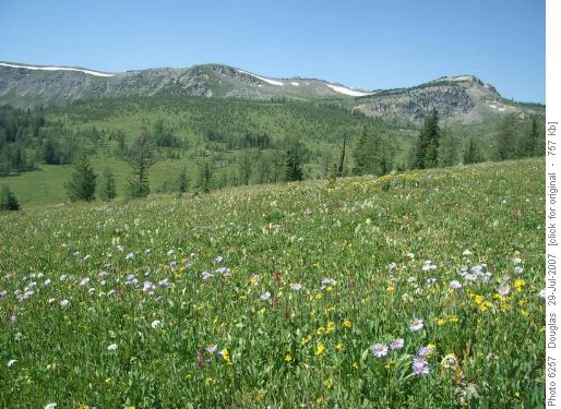 entrance to the Healy meadows
