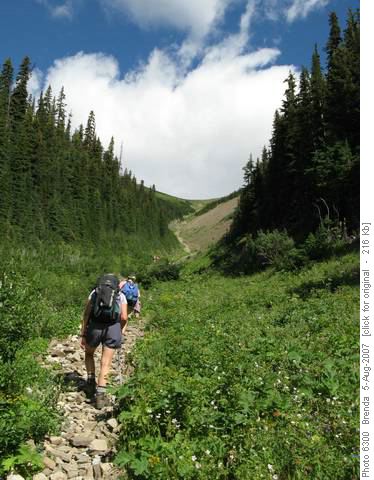 On the way up Guinn's Pass