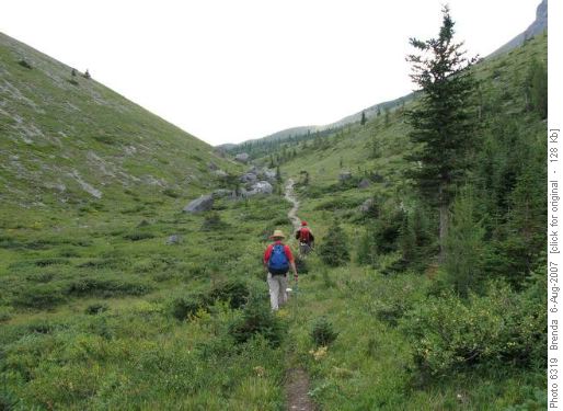 Side trail into Lake Rae