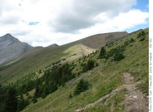 Top #1 bypass, top #2