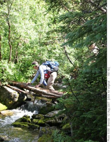 Crossing Rummel Creek. No one used the logs but they came in handy.