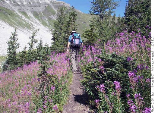 Hiking up the Indefatigable trail