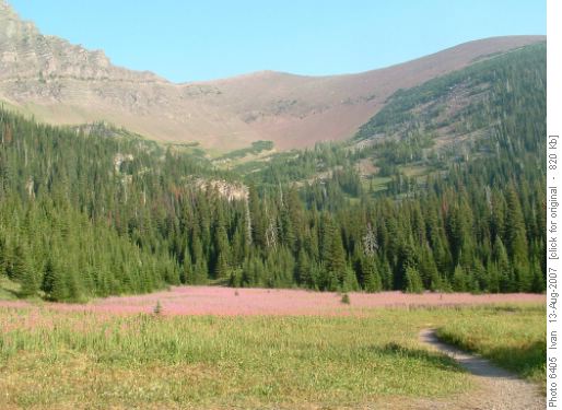 Lineham Ridge from meadows