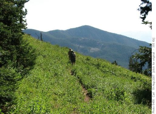 Meadows of the Madison Range