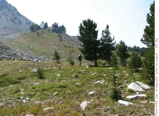 Alp Creek Basin