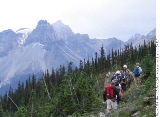 Upper trail to Yoho Lake, Cathedral Mtn. in back