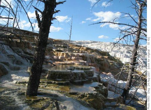Mammoth Hot Springs