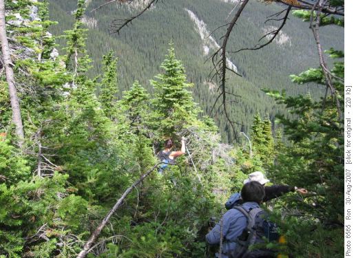A fine bushwhack: descent from 3rd Lake