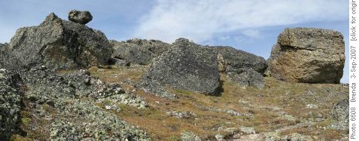 Rock Garden on Centennial Ridge