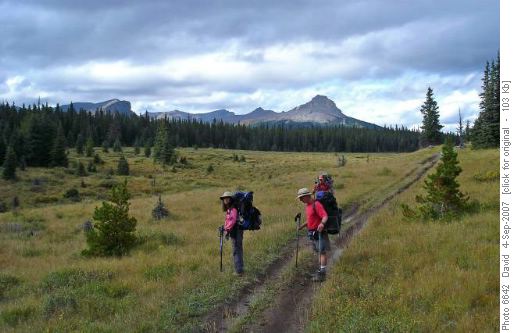 Meadows north of Johnson Creek