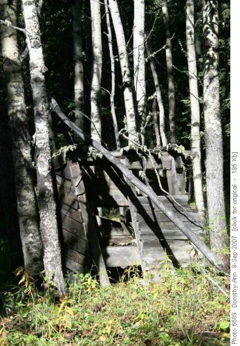 Abandoned Lean-to by trail