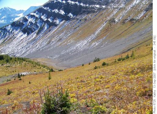 Fall Colours - Mt. Indefatigable