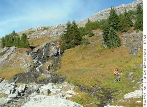 Meadows-Headwall L.