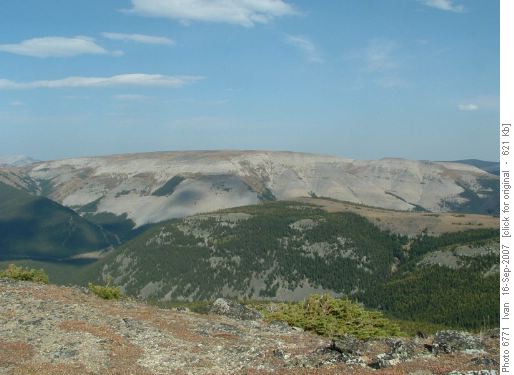 Plateau Mt.