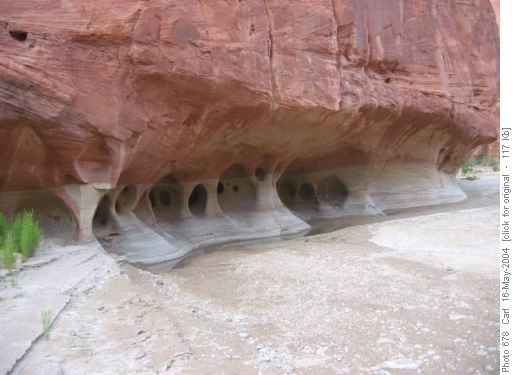 Paria Canyon windows
