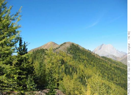 Ridge route to East Top and Top #1
