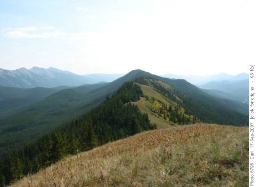 Looking south along Hell Ridge