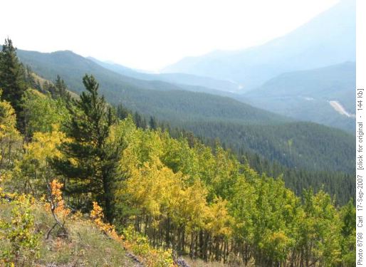 Autumn colours on Hell Ridge