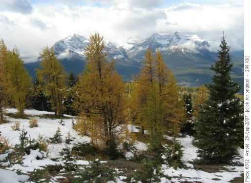 The Fall color change
