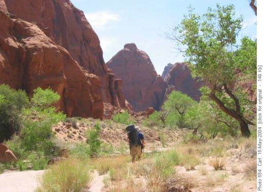 Paria lower canyon