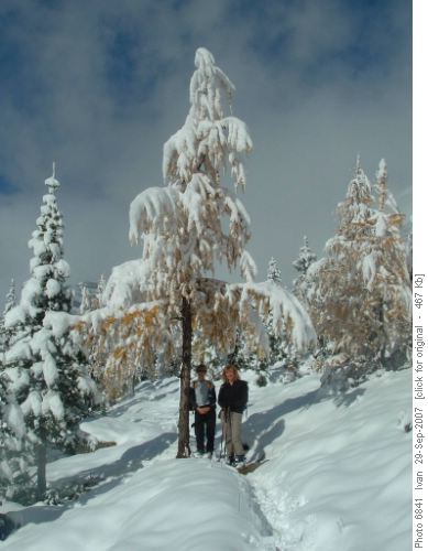 Wenkchemna Pass trail