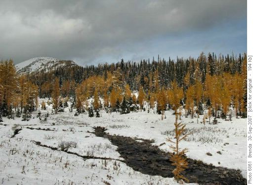 Panorama Meadows - ridge in distance
