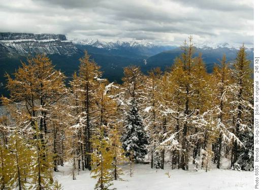 View from ridge ascent