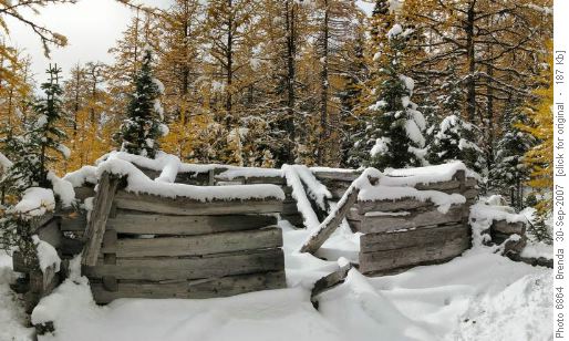Old prospector's cabin - circa 1883