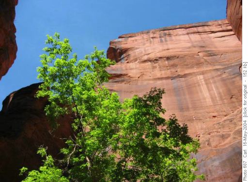 high walls of Buckskin Gulch