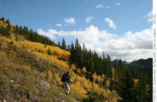 Hillside above Gunnery Creek