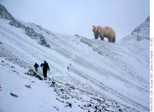 Ascent to Grizzly Col!