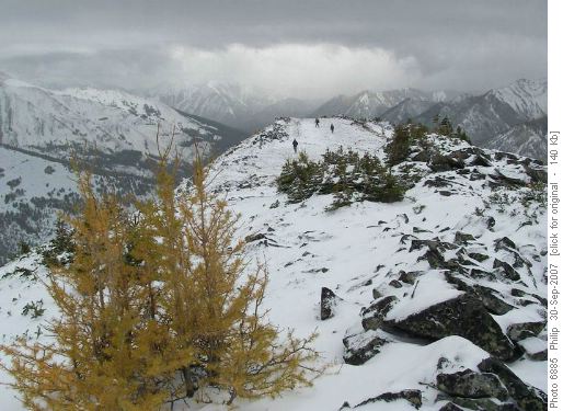 Looking south on Grizzly Ridge