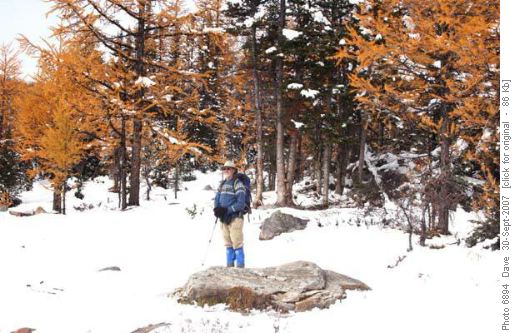 {229 Dave Reid} in Larch Valley
