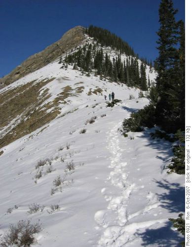 Headin' up Nihahi Ridge