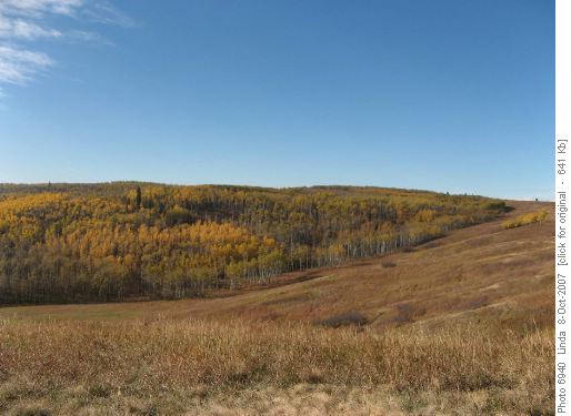 Viewpoint
