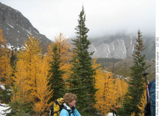 On the way to Rae Lake, going up