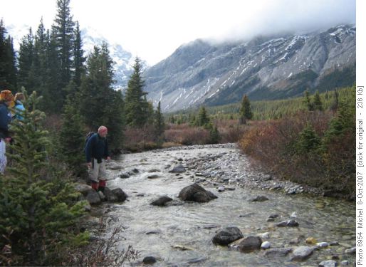Elbow River/Desolation flat/Sheep Lakes Trail