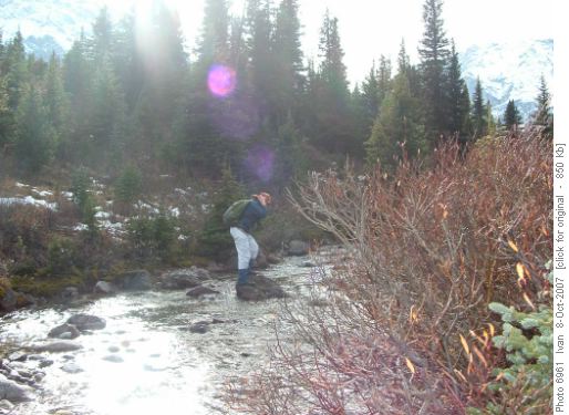 Creek crossing/Marina/