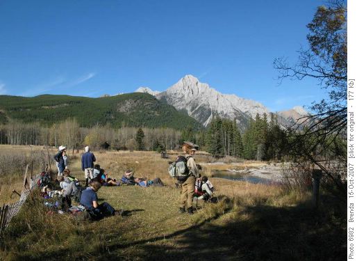 Watching the eagle watchers - afternoon break