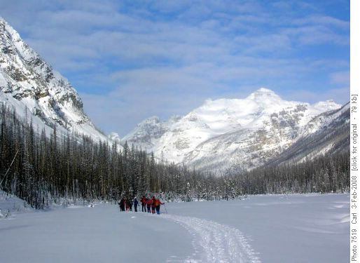 Heading up Tokumm Creek