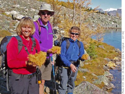 Golden bounty at Temple Lake