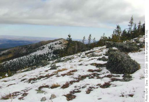 Ridge east of Jumpingpound toward Moose Mountain